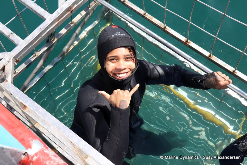 Shark cage diving, South Africa