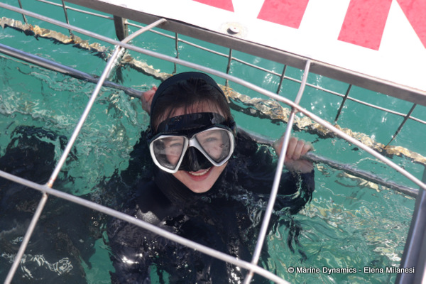 Shark cage diving, South Africa