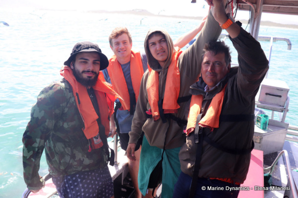 Shark cage diving, South Africa