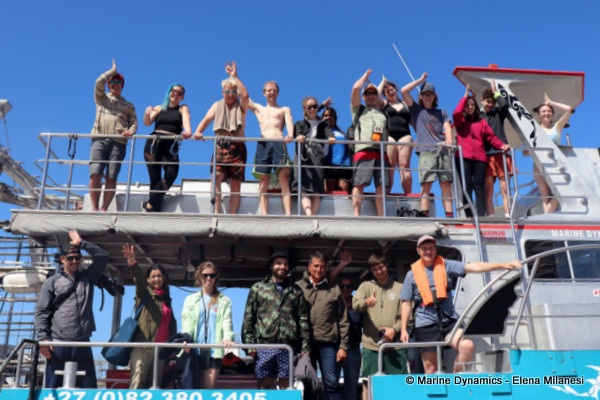 Shark cage diving, South Africa