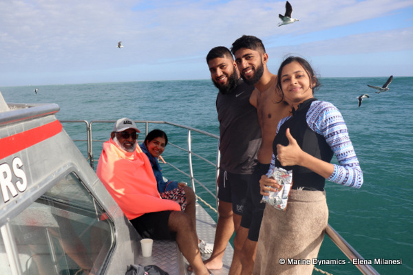 Shark Cage Diving, South Africa
