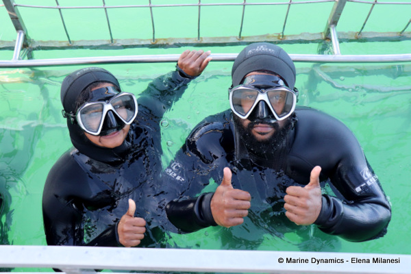 shark cage diving, South Africa