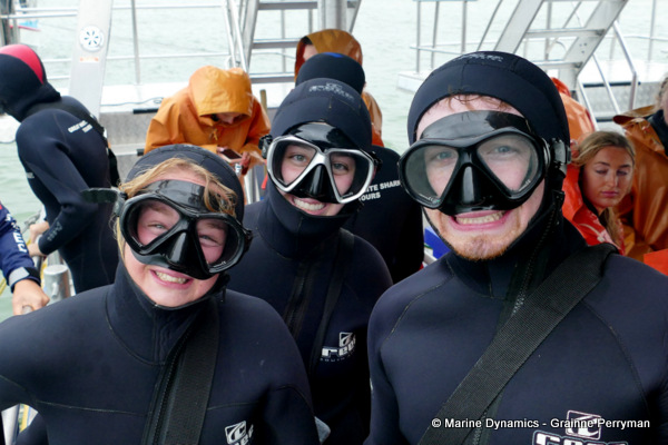 Shark cage diving, South Africa