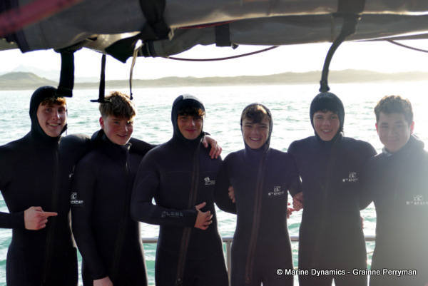 Shark cage diving, South Africa