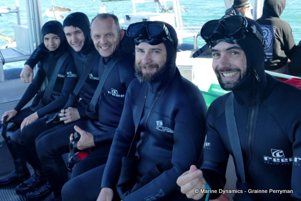 Shark cage diving, South Africa