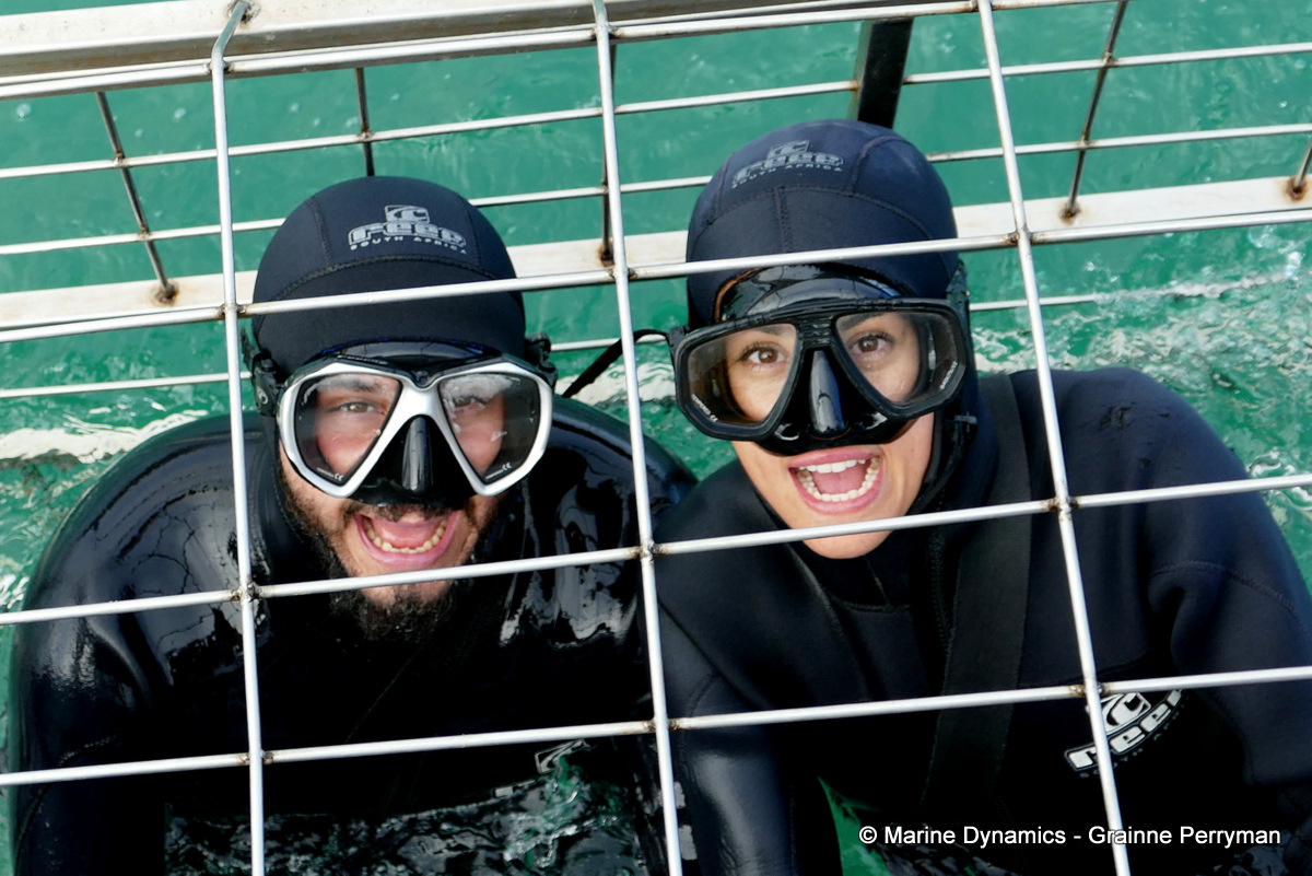 Shark cage diving, South Africa