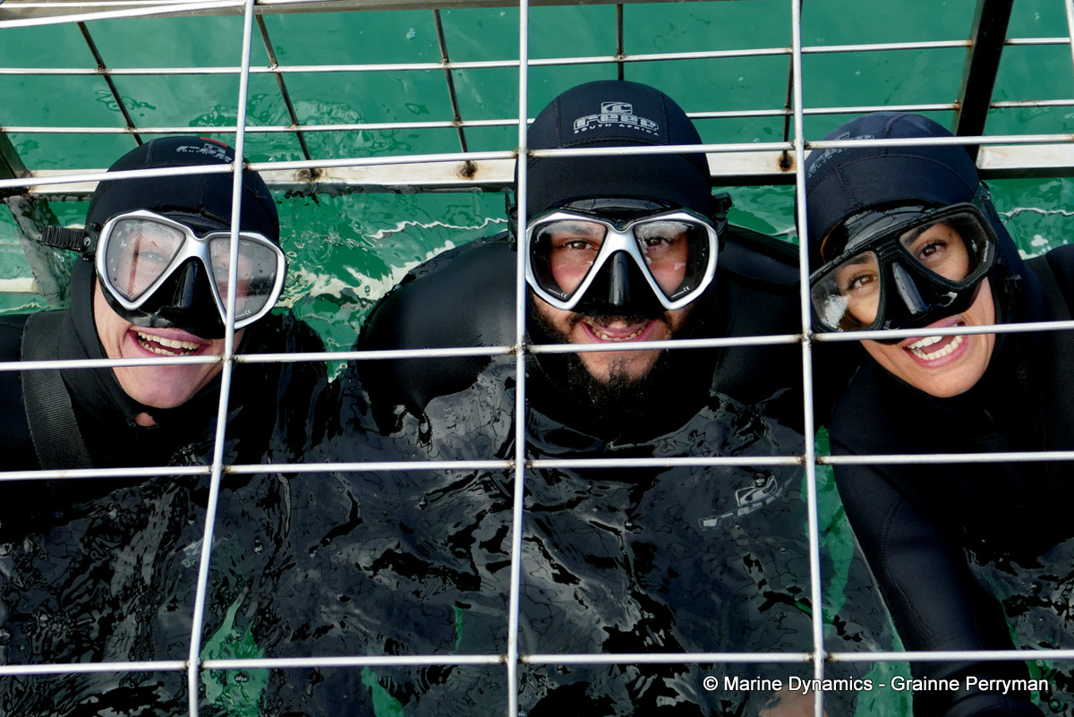 Shark cage diving, South Africa