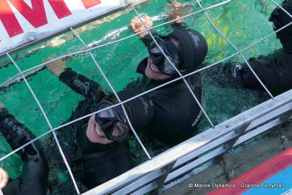 Shark cage diving, South Africa