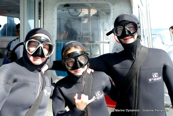 Shark cage diving, South Africa