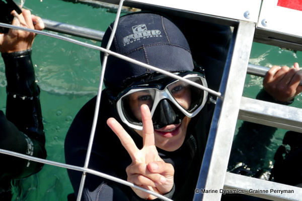 Shark cage diving, South Africa