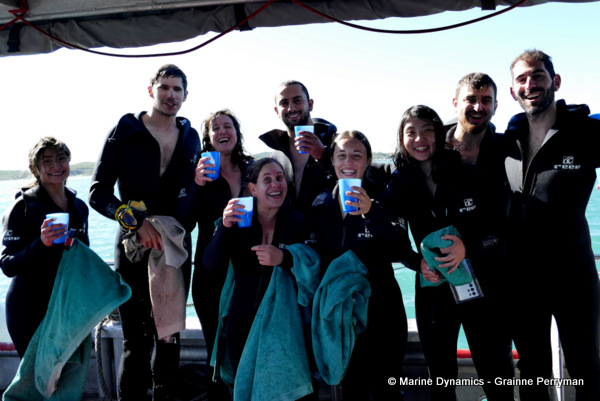 Shark cage diving, South Africa