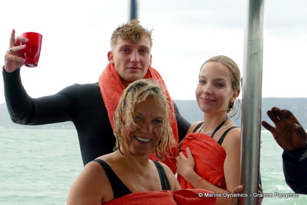 Shark cage diving, South Africa